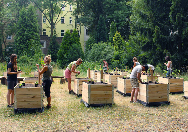 Hochbeete Prinzessinengarten Berlin