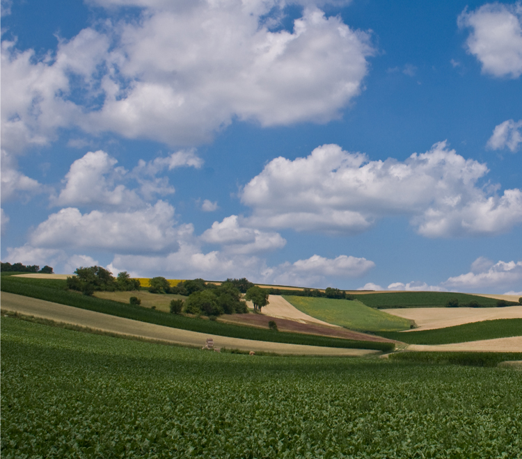 LEADER Weinviertel Donauraum