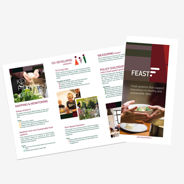 FEAST flyer teaser image