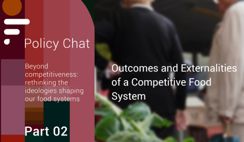 Cover image of the feast policy chat webinar