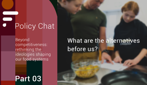 Cover image of the feast policy chat webinar