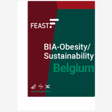 BIA Obesity report Belgium teaser