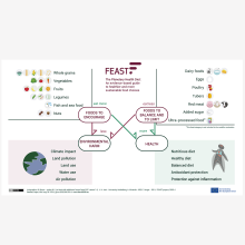 ELFI infographic teaser
