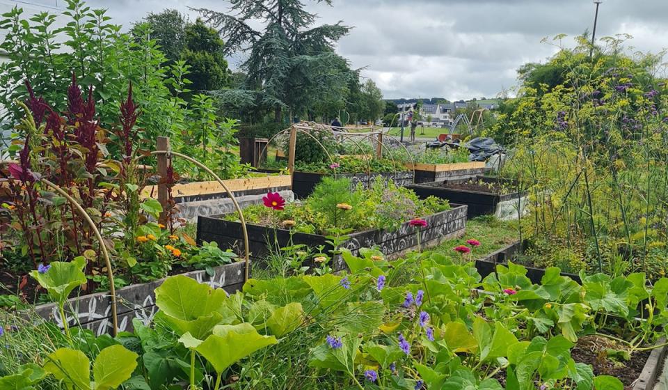 Cork urban garden